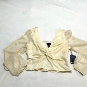 NWT cropped shimmering blouse